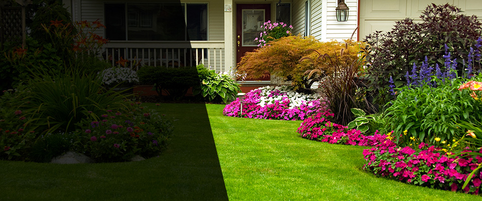 Honokaa Landscapers